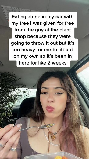 A sad story #nz #aotearoa