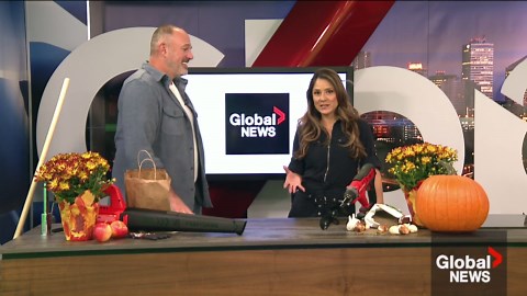 Tips and tricks for your fall garden