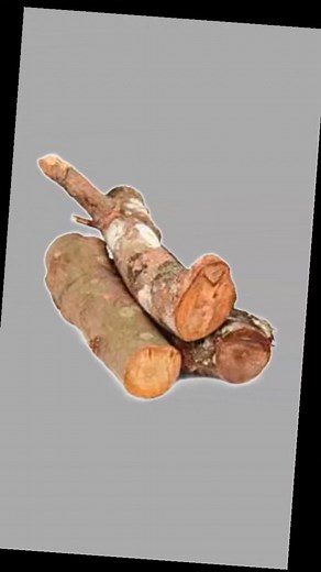 Apprendre le français facilement | Apprendre le français facilement