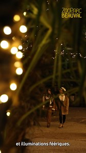 Séjournez au ZooParc de Beauval pour découvrir 800 espèces fascinantes. 🐼 Vivez aussi la magie de Noël et l’aventure MonstroZoo ! 🐲 Réservez vite votre séjour ici 👇 | Zoo de Beauval