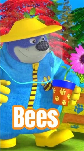 🌸 Spot the Missing Bees 🐝 Can You Help Rosie Find Them?