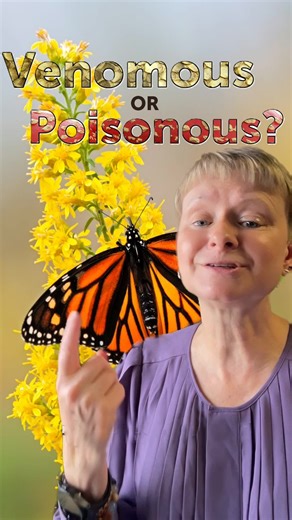 Poisonous or venomous? The words are sometimes used interchangeably, but they have different meanings based on how they enter the victim. Learn more at The Power of Poison, opening Saturday, October 4! | Science Museum of Virginia