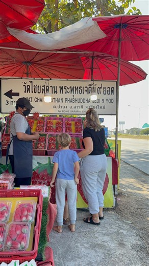 Lauren | Family Travel Abroad on Instagram: "The day has finally come for us to hand the keys back over from our condo in Chiang Mai Thailand and do the mammoth 12 hour drive down south! #travelfamily #travelmum #nomadfamily #fulltimetravel #Travelfamily"