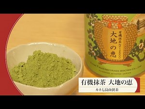 【日本茶】新しいスタイルで楽しむ抹茶～カネ七畠山製茶～