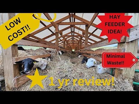 #1 hay feeder design idea for sheep and goats! Low waste and easy to build!