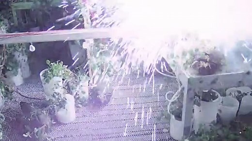 Invasion.Of.The.Body.Snatchers.1978.SWESUB.REMASTERED.BRRiP.x264.SW3SU8.mkv