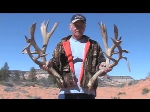 300 Inch Shed Antlers from Northern Arizona