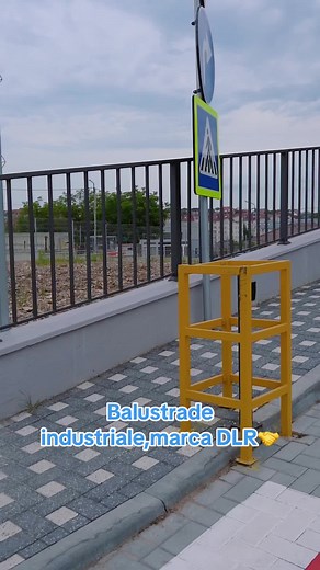 #078777030 #dlr #construct #porti #garduri #balustrade #metalice #metal #fier #industriale#romania #iasi#bucuresti #tiktokromania #tiktok#ue#moldova#doaspora#hale#confectii