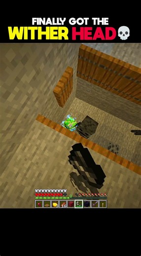 I Finally Got the Wither Skull... 💀😭
