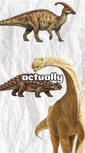 The 3 Major Dinosaur Types Explained