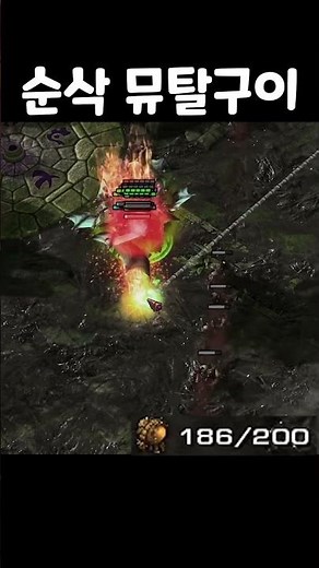 #shorts Instant Mutalisk Roast Co-op Starcraft2 #Co-op #SpiritTV
