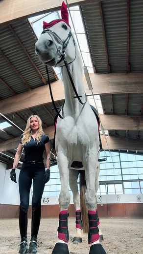 Riding the Biggest Horse Ever: Eisbär Experience