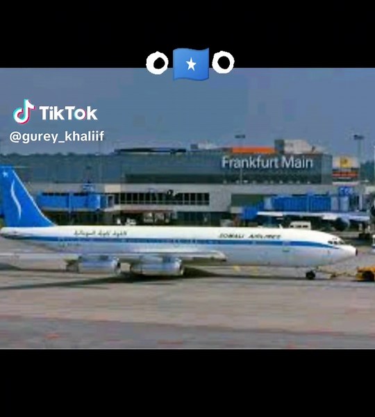 Gurey Khaliif على TikTok