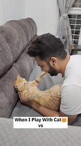 When I play & when simba bites😂 Its so much fun until they bite😅🐾 Hi hi & hoe hoe moment with simba😻🐈❤️ | CheetoSimba