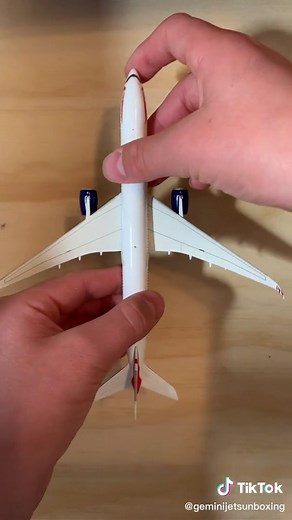 Gemini jets on TikTok