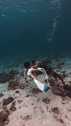 S A N C T U A R Y #freediving #freedive #joji #underwater #osmoaction4 #actioncamera