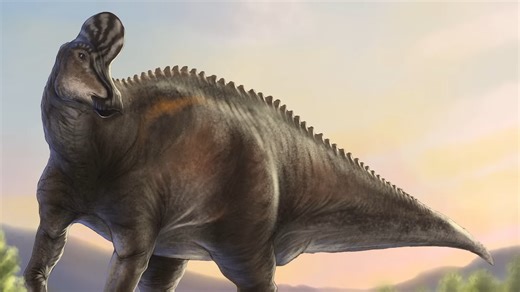 The dinosaur that sounded like a trombone - inside Corythosaurus