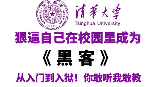 【全600集】这可能是2025年B站最全最细的黑客网络安全零基础全套教程，逼自己在大学校园里学完，轻松变黑客大佬！（web安全/渗透测试/黑客技术/网络安全）