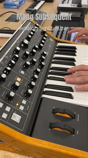 Moog Sub 25, Analog Synthesizer