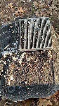How to get rid of mice in your car. #mice #car #rats #shrews #automobile #auto
