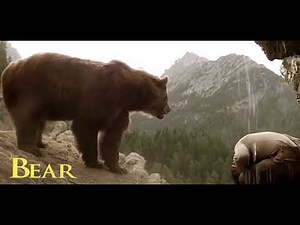 The Bear 1988.