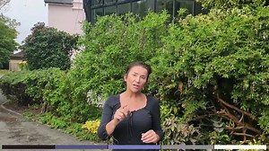 26K views · 262 reactions | The preparation of the clinic continues...