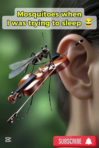 Mosquito Plays Violin 😂💔Near Human Ear – Funny & Surreal AI Animation!"