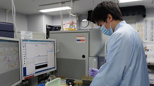 In Vitro Generation of Somite Derivatives from Human Induced Pluripotent Stem Cells