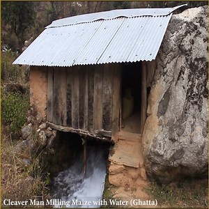 Amazing Technique of Milling Maize with Water (Ghatta) | Nepali Village Family