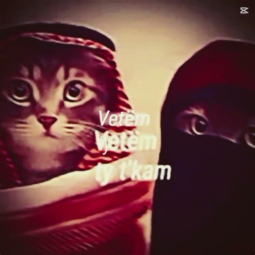 Guys Ramadan Habibi 🎀