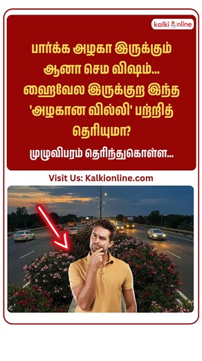 Link in first comment👇👇 பார்க்க அழகா இருக்கும் ஆனா செம விஷம்... ஹைவேல இருக்குற இந்த 'அழகான வில்லி' பற்றித் தெரியுமா? #poisonousplants | #naturefacts | #roadsidebeauty | #botanicalwarning | #oleanderplant | #kalkionline (dangerous beautiful flowers, nerium oleander toxicity, poisonous plants in india, highway landscaping facts, botanical safety awareness) | Kalki Group