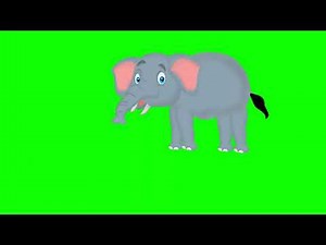 Cartoon elephant walking animation on the green screen background