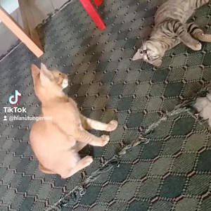 6.2K views · 245 reactions | အခက်အခဲဖြစ်နေသူများ လမ်းပွင့်စေဖို့...