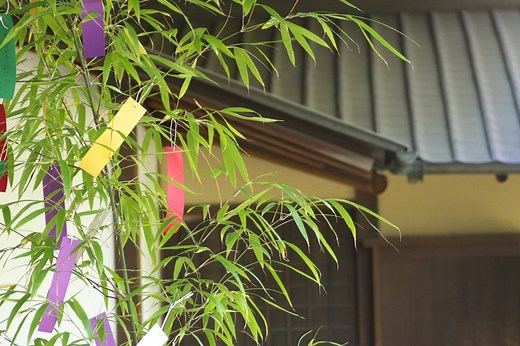 七夕のうた「たなばたさま」の動画、歌詞の意味と七夕のお話を紹介 | ひまわり日本のうた