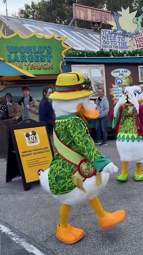 3.4K views · 87 reactions | The Duck secret handshake and booty shake.  You can meet Donald and Daisy Duck and take pictures with them at Dinoland in Disney’s Animal Kingdom! #DisneysAnimalKingdom #WaltDisneyWorld #DonaldDuck #DisneyParks #Dinoland | Dorky Parks Dad | Facebook