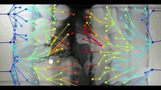 Bacteria Evolution on a MEGA Petri Plate – Michael Baym – Harvard Medical School (2016)
