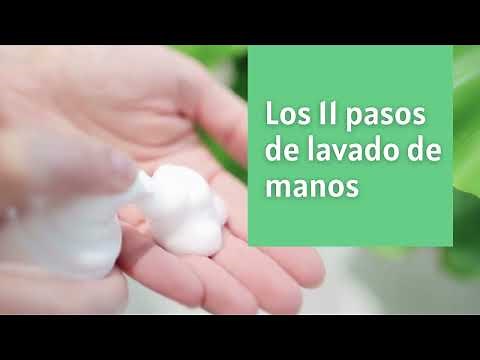 Lavado de manos (11 pasos según OMS) 🤲🏻