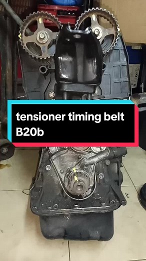 Adjusting Tensioner Bearing on Honda B-Series Timing Belt