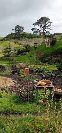 Exploring Hobbiton, New Zealand from Georgia K. 🇳🇿