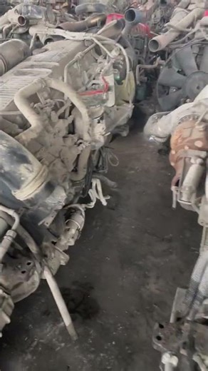 20 નવેમ્બર, 2025