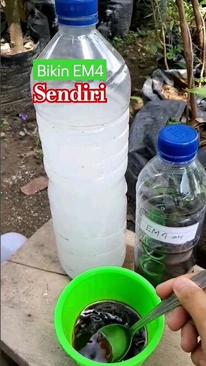 easy and economical way to make your own EM4 #tutorial #em4 #fertilizer #liquidfertilizer #viral
