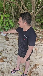 3.8K views · 306 reactions | Donna ice cream kusog kaayo na #leesdesignerscake #followers #highlights #fypツ #fypシ゚viralシ #fypシ゚ #GodBless #fypviralシ #fypシ゚viral #fyppage #GloryToGod #viralreels | Lee's Designer Cakes edgarleeutlang | Facebook