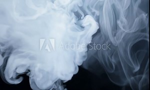 Detailed prompt for crafting precise and evocative descriptions.