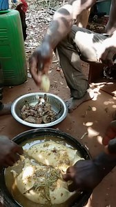 My brothers, I need to go back | Joyce Oppong