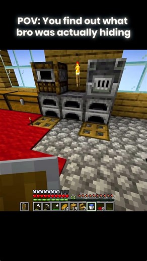 POV: You find out what bro was actually hiding 💀#minecraft