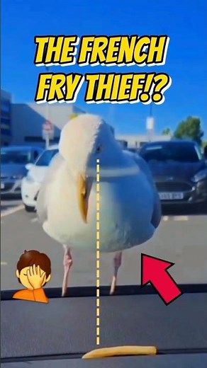 Crazy Smart Seagull Hack No One Expected! 🐦 #shorts