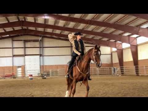 🐴 Henry – Western Dressage Intro Level Test 1 2022 - 64.09%