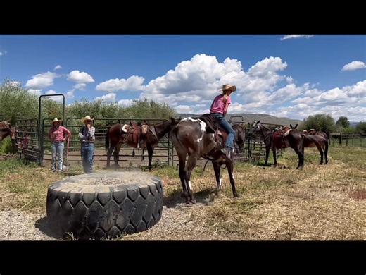 This year we will be hosting our Second Annual Paul Garrison Mulemanship Training Clinics! This video is just a taste of the training, fun, and adventure you will experience here in beautiful Gunnison Colorado at West Elk Equine with world-renowned mule trainer Paul Garrison III. I cannot begin to express how much Paul's knowledge and training have advanced our program, our mules, and our training skills. ￼ Don't miss this amazing opportunity to learn from a true master! | West Elk Equine