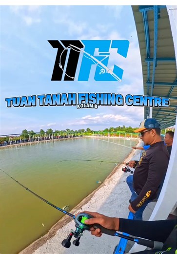 Ikan Tapak Banyak ✅ Seminggu 1 Kali Buka ✅ Kerapu Naga ✅ Manis2 ✅ . Lokasi : Kolam B @Tuan Tanah Fishing Centre @TTFC . Fishing Equipments Sponser by @Strike Bro Fishing . @AshGaming The Angler @Abg LNYRD @Jol Caster @Zeeeeernad @Mija @Shah zahid @Z76 . #fishingvideos #ashgaming #saltwaterfishing #mancingkolam #viralfishing