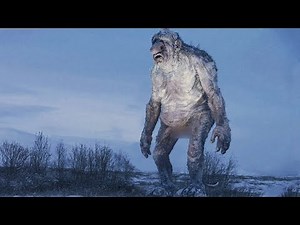 No One Believes This Creature Exists, Until One Day…